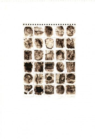 Silesian Annals V | etching | 26×19 cm